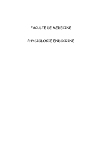 faculte de medecine physiologie endocrine