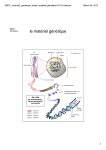 SBI3C_module2_génétique_chap4_matériel génétique