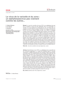 Le virus de la varicelle et du zona : un alphaherpesvirus pas