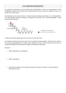 Les molécules tensioactives - Document sans
