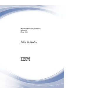 IBM Unica Marketing Operations