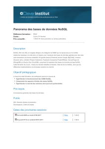 Panorama des bases de données NoSQL