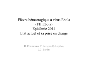 Fièvre hémorragique à virus Ebola (FH Ebola) Epidémie 2014 Etat
