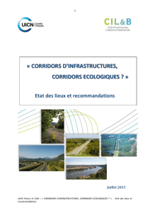 Corridors d`infrastructures, corridors écologiques