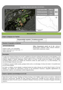 végétation des falaises siliceuses - site Natura 2000 de la vallée du