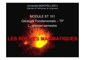 les roches magmatiques