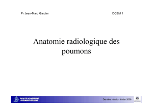Anatomie radiologique des poumons