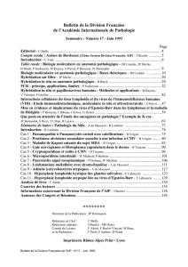 Bulletin de la Division Française de l`Académie Internationale de