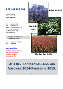 liste des plants en stock saison automne 2014