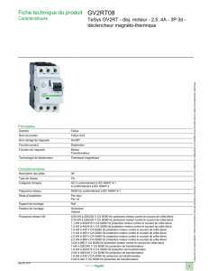 GV2RT08 - Schneider Electric