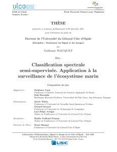 Classification spectrale semi-supervisée. Application `a la