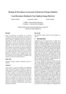 Hachage de Descripteurs Locaux pour la Recherche d`Images