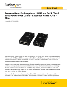 Transmetteur Prolongateur HDMI sur Cat5 /Cat6