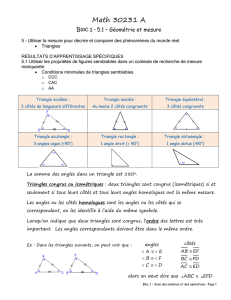 math 30231