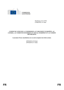 Lancement d`une consultation sur un socle européen des droits