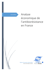 Rapport sur l`analyse économique de l`antibiorésistance en