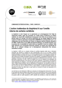 Le communiqué de presse commun ENS de Lyon / CNRS / Lyon1