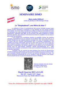 seminaire ismo - Institut des Sciences Moléculaires d`Orsay