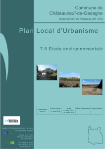 Plan Local d`Urbanisme - Chateauneuf De Gadagne