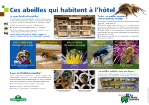 Hôtels des abeilles - La Motte