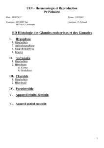 D1-UE9-Pelluard-Histo_organes_endocriniens-08.02.17-pdf