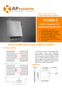 APS YC250 Microinverter Datasheet