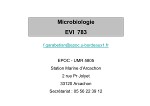 Microbiologie EVI 783 - master bgstu bordeaux i