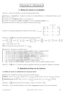 Matrices - Franck MADIGOU