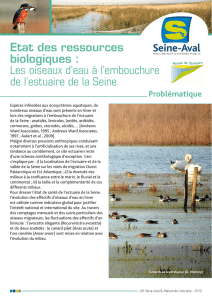 Les oiseaux d`eau à l`embouchure de l`estuaire de - GIP Seine-Aval