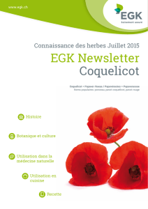 EGK Newsletter Coquelicot