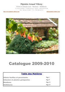 Catalogue A4 internet 2009