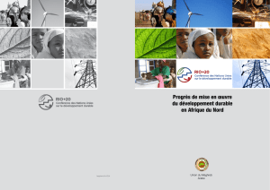 Progrès de mise en œuvre du développement durable en Afrique du