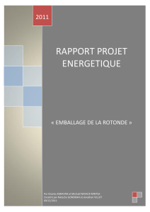 rapport projet energetique