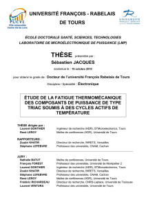 Mémoire corrigé PhD S Jacques_2007-2010