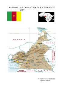 Rapport stage Médecine Cameroun