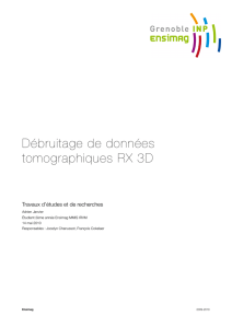 Débruitage de données tomographiques RX 3D - Ensiwiki