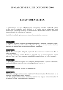 Systeme nerveux concours 2006 - Ecole de Podologie de Marseille