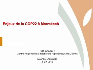 un exposé au sujet des enjeux de la COP22