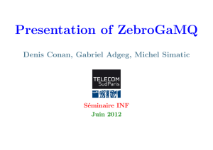 Presentation of ZebroGaMQ