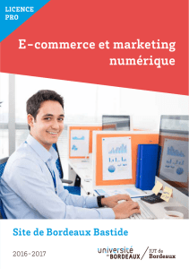 E-commerce et marketing numérique