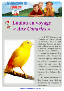 1 web web web loulou aux Canaries