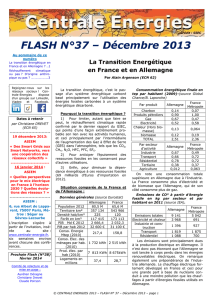 FLASH N°37 – Décembre 2013