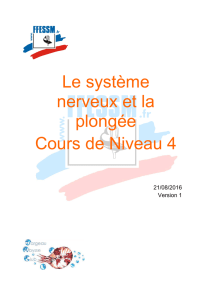 Le système nerveux et la plongée Cours de Niveau 4