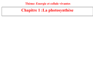 Pdf Chapitre 1: La photosynthèse - incertae