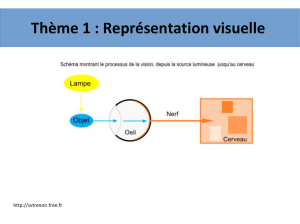 Thème 1 : Représentation visuelle