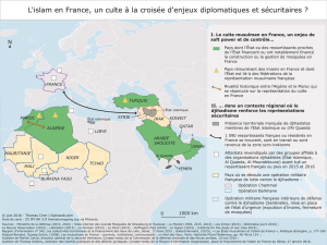 Carte géopolitique de l`islam en France - Masque d