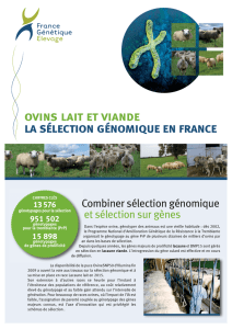 La sélection génomique en filière ovine