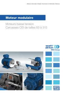 Moteur modulaire - Watt Drive Antriebstechnik GmbH