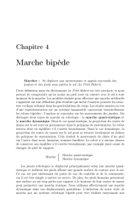 Marche bipède - Server users.dimi.uniud.it