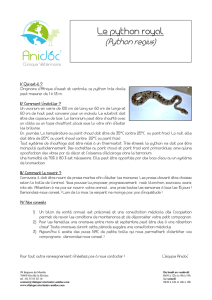 le python regus - Clinique vétérinaire Anidoc` Ouville la Rivière 76860